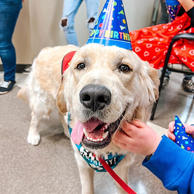 Broach School Therapy Dog Birthday